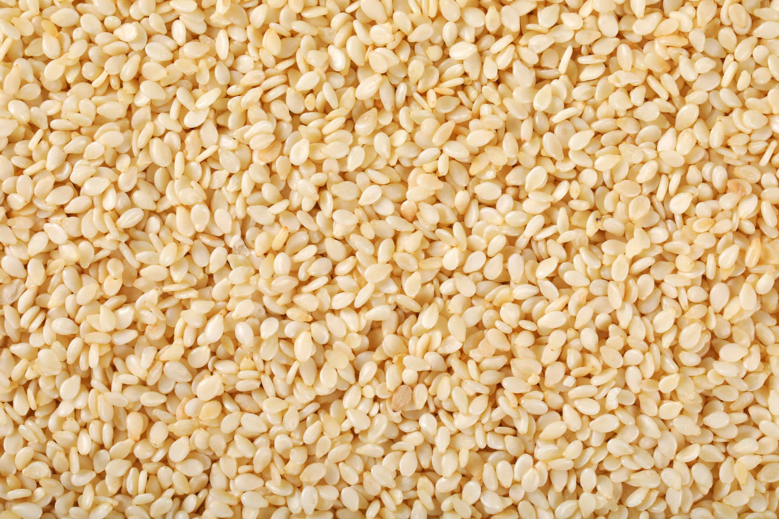 Organic Hulled Sesame Seeds Bulk Organique Foods